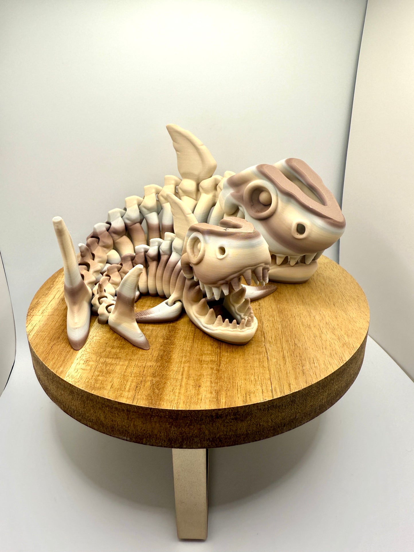 Skeleton Shark