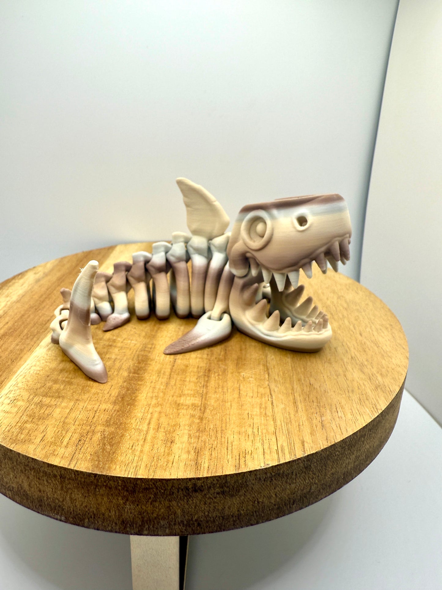 Skeleton Shark