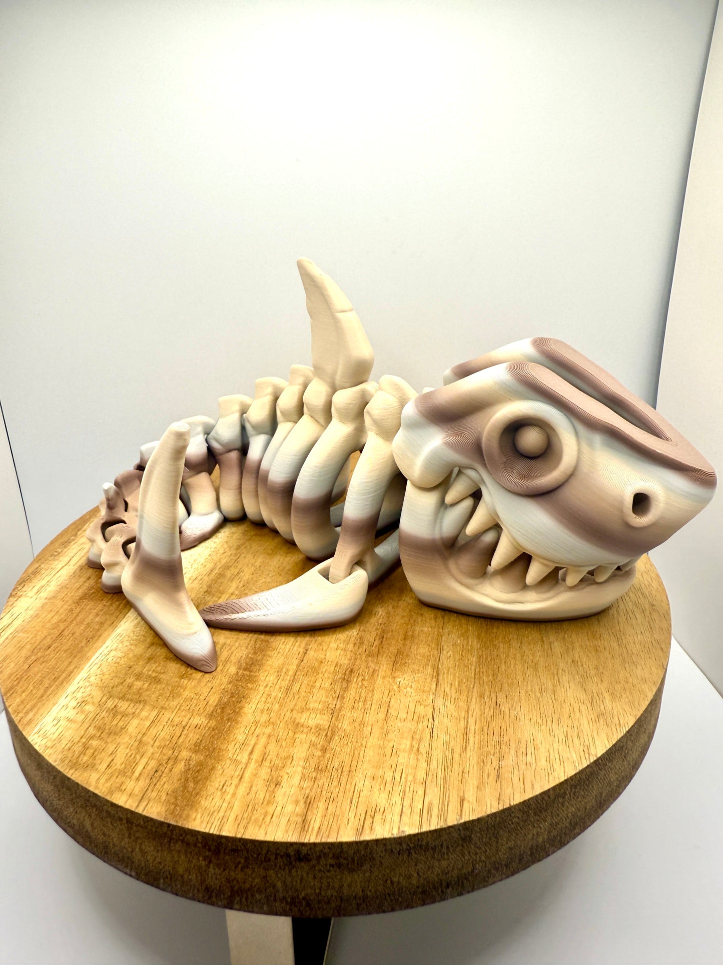 Skeleton Shark